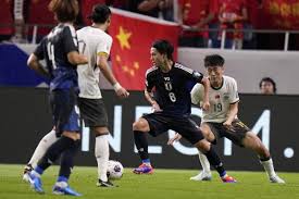 国内的许多